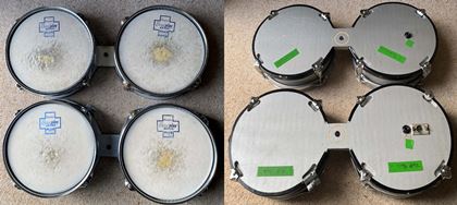 Simmons-SDS3 with pads- stunning instrument